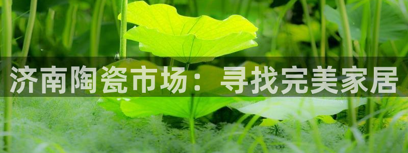 杏鑫娱乐官方网站客户端下载