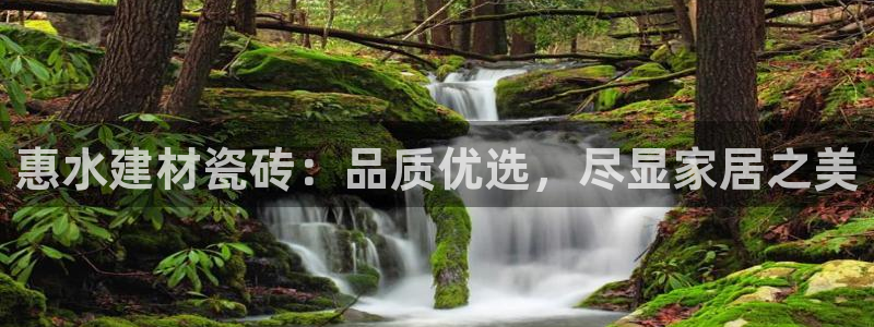 杏鑫注册平台官方网站下载