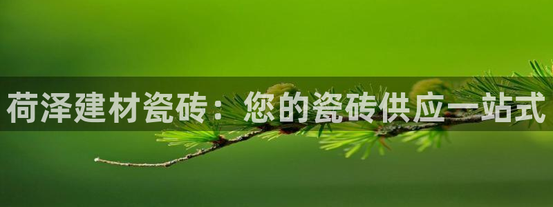 杏鑫平台怎么样黑钱吗