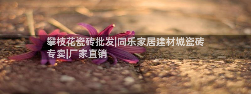 杏鑫平台平台娱乐