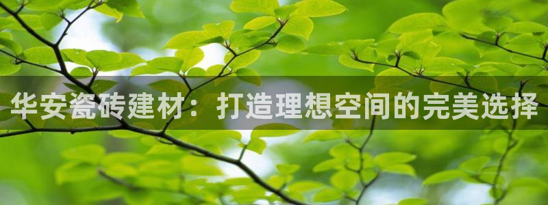 杏鑫平台是黑平台吗知乎