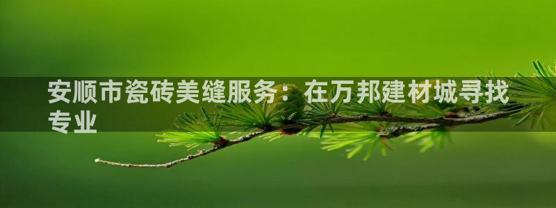 杏鑫平台代理怎么做