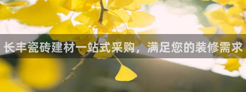 杏鑫平台登录地址是什么