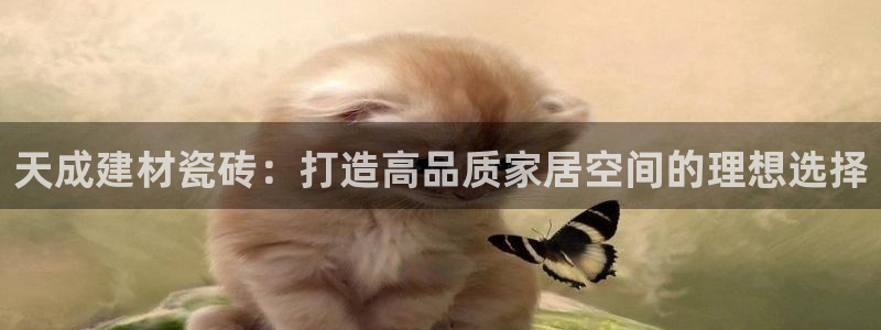 杏鑫平台怎么样黑钱吗是真的吗
