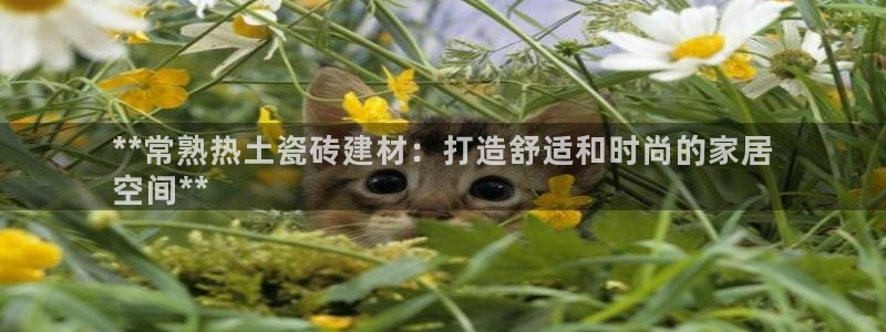 杏鑫主管