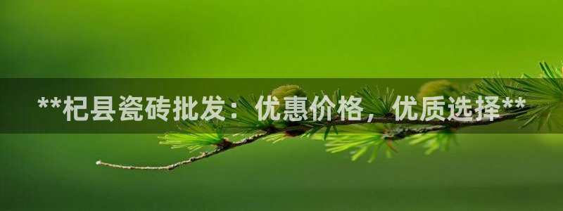 杏鑫娱乐怎么下