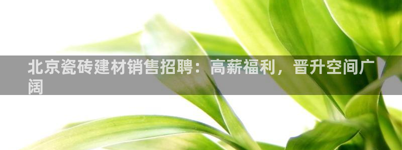 杏鑫平台怎么样
