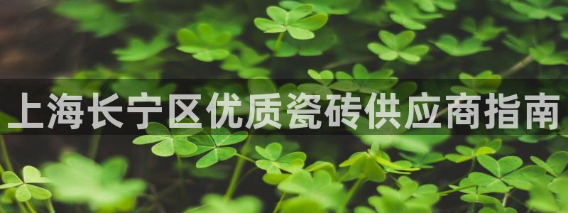 杏鑫平台测速