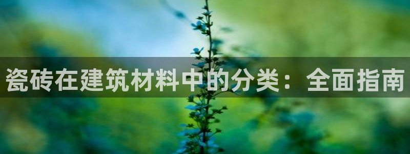 杏鑫娱乐官网登录不了