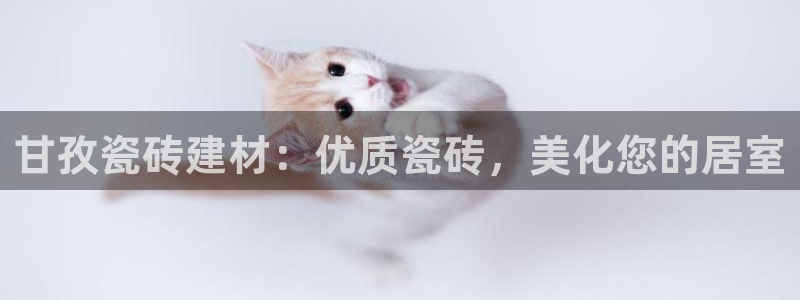 杏鑫平台注册登录