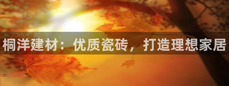 杏鑫平台正规吗