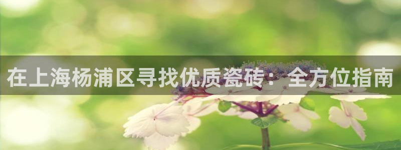 杏鑫登录注册