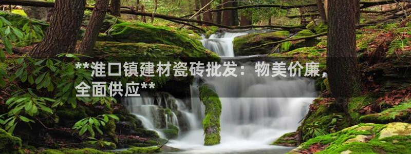 杏鑫平台代理注册登录不了怎么办呀视频