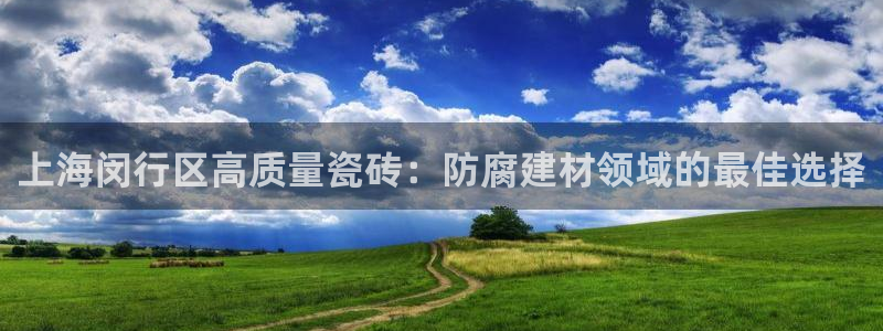 杏鑫官方平台怎么样啊
