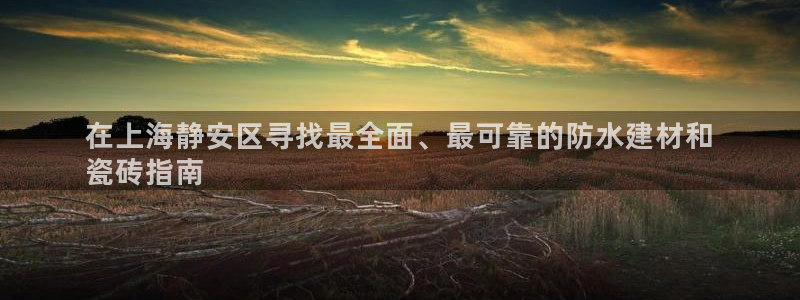 杏鑫平台代理注册流程视频
