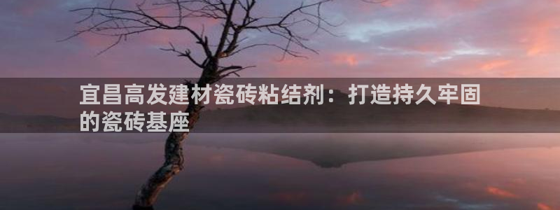 杏鑫平台招商怎么样