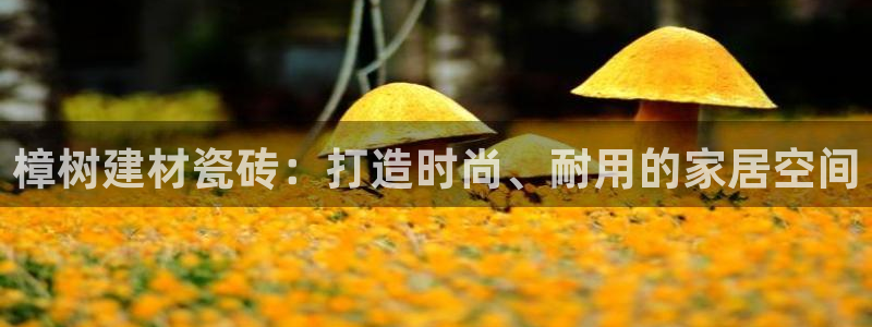 杏鑫娱乐是合法的吗?