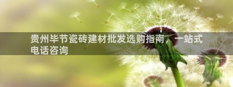 杏鑫平台代理怎么做