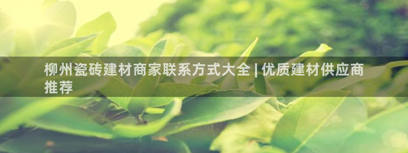 杏鑫官网注册账号是什么样的