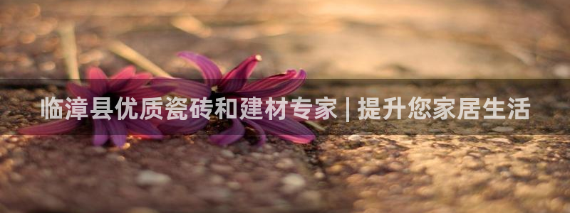 杏鑫手机客户端