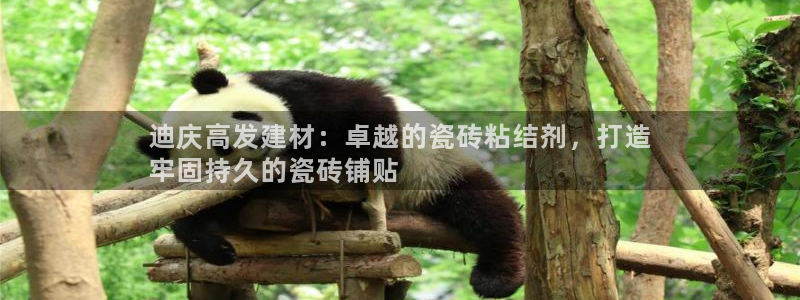 杏鑫平台注册入口在哪里找