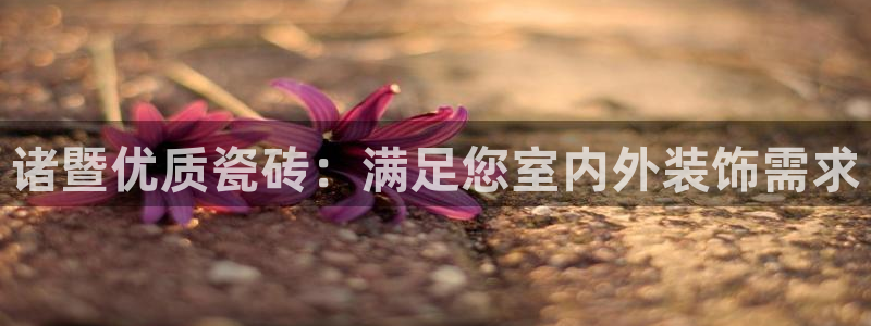 杏鑫平台怎么样知乎