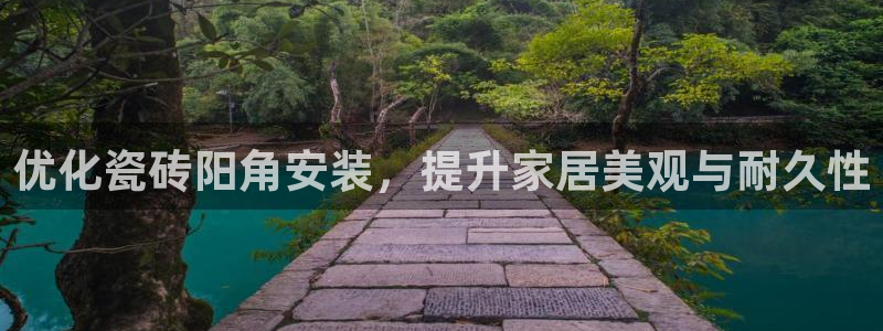 杏鑫平台代理注册流程图