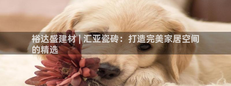 杏鑫登录测速