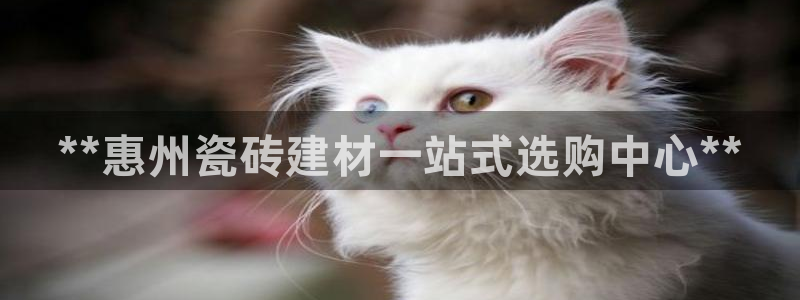 杏鑫官方平台怎么样