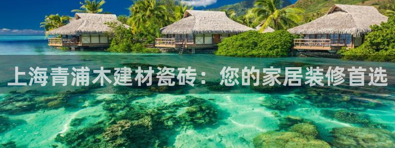 杏鑫娱乐平台测速怎么样