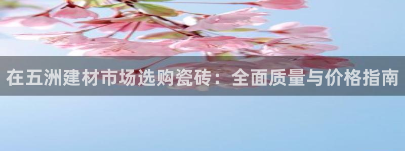 杏鑫平台在线注册