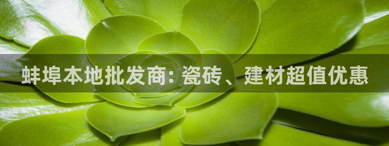 杏鑫平台注册入口