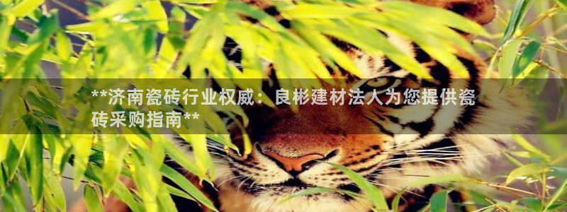 杏鑫平台代理怎么做的