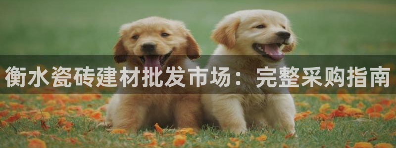 杏鑫平台注册网址查询