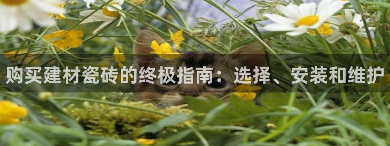 杏鑫娱乐官方网站客户端下载