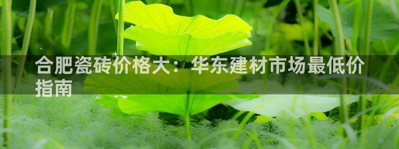 杏鑫官网注册账号是什么