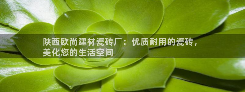 杏鑫娱乐平台测速怎么样