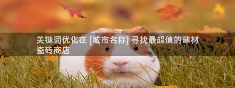 杏鑫官网