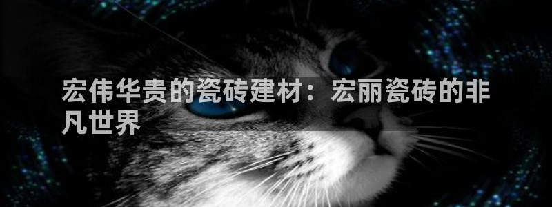 杏鑫平台代理怎么做赚钱
