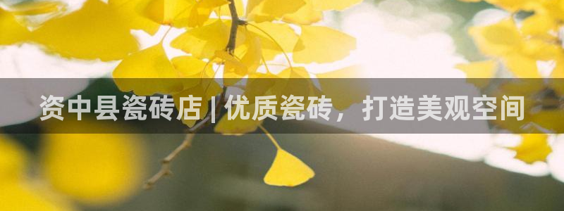 杏鑫平台代理注册流程视频