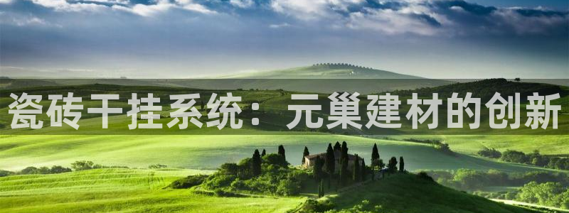 杏鑫娱乐开发团队