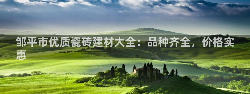 杏鑫平台代理注册流程图