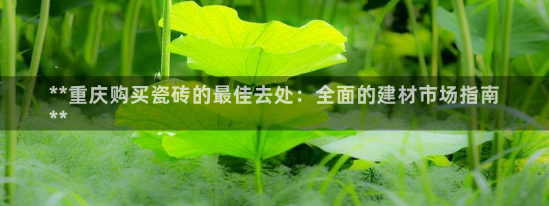 杏鑫娱乐官网下载
