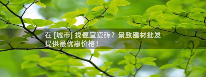 杏鑫平台注册地址是哪里