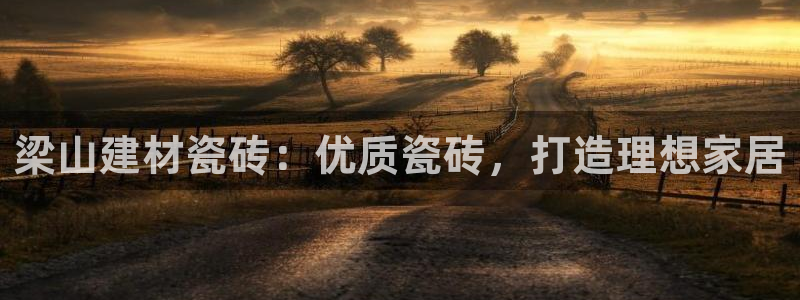 杏鑫平台登录地址在哪