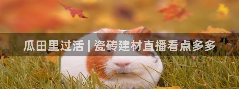 杏鑫平台登陆