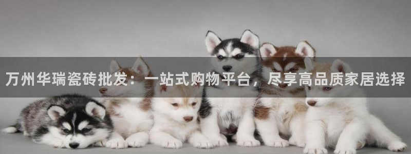杏鑫平台下载安装
