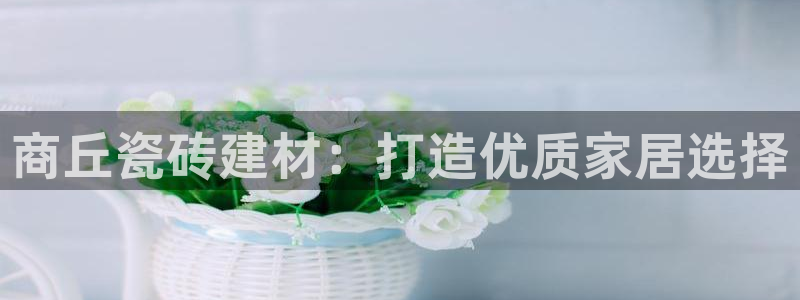 杏鑫代理注册登录