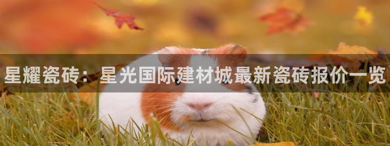 杏鑫官方平台怎么样可靠吗