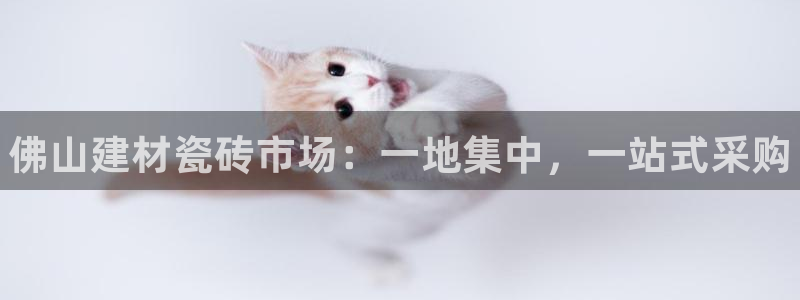 杏鑫官网注册账号密码是什么